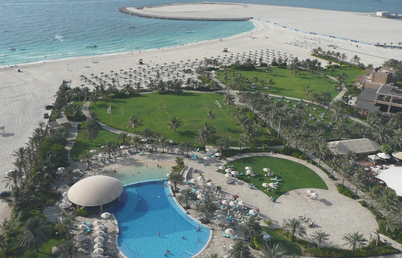 A beachfront with palms and a pool